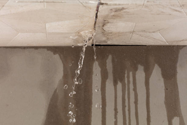 Professional Water Extraction technician working in Louise, TX